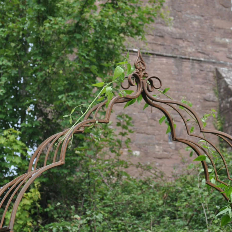 Ascalon Vintage Arch