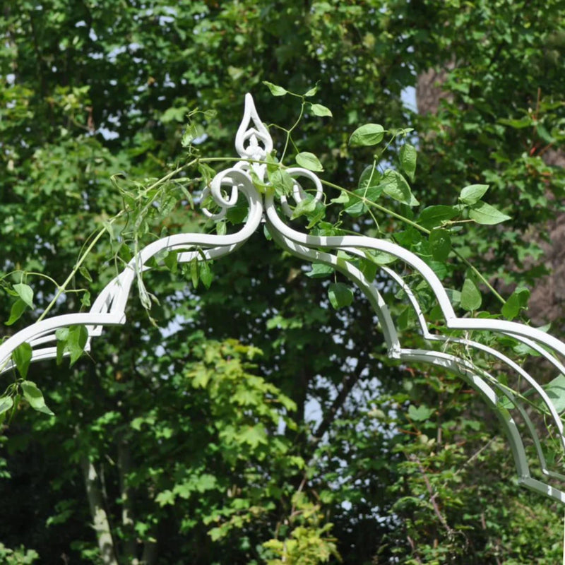 Ascalon Vintage Arch