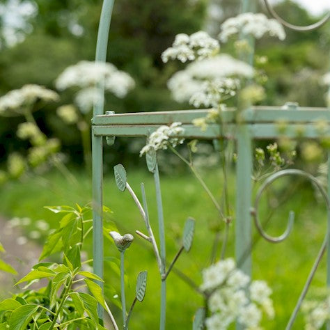 Ascalon Woodland Arch Green