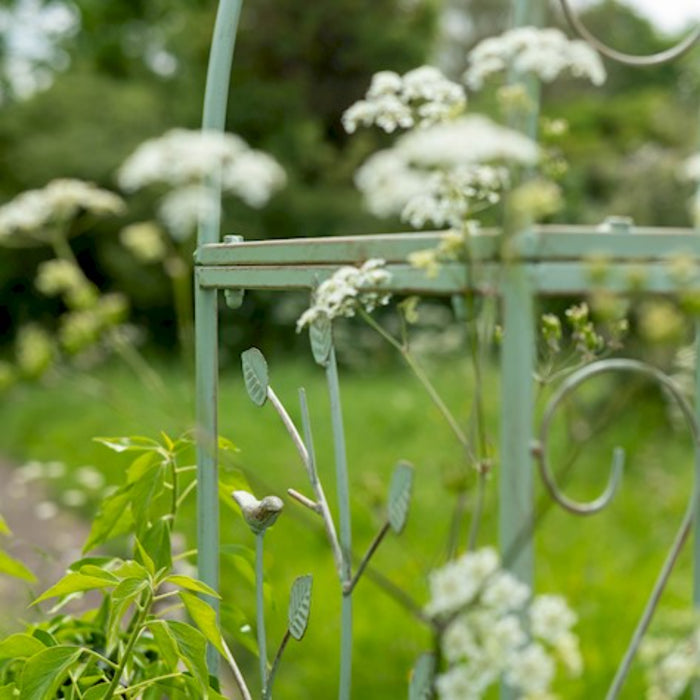 Ascalon Woodland Arch