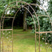 Ascalon Woodland Arch Rusty